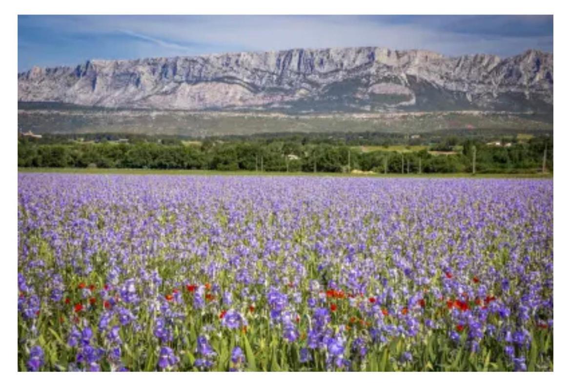 Aix-En-Provence, Cosy Studio Proche Toutes Commodites, Linges Fournis מראה חיצוני תמונה